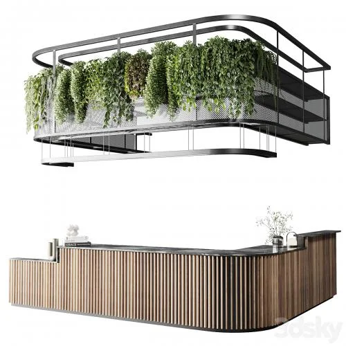 Coffee shop reception, Restaurant counter by hanging plant - 03 3d model